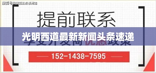 光明西道最新新闻头条速递