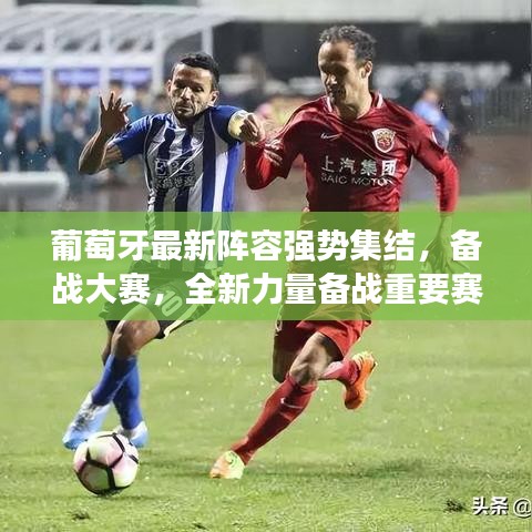 葡萄牙最新阵容强势集结,备战大赛,全新力量备战重要赛事