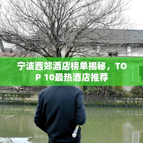 宁波西郊酒店榜单揭秘,TOP 10最热酒店推荐