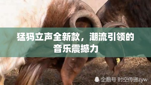 猛犸立声全新款,潮流引领的音乐震撼力
