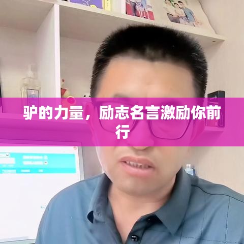 驴的力量,励志名言激励你前行
