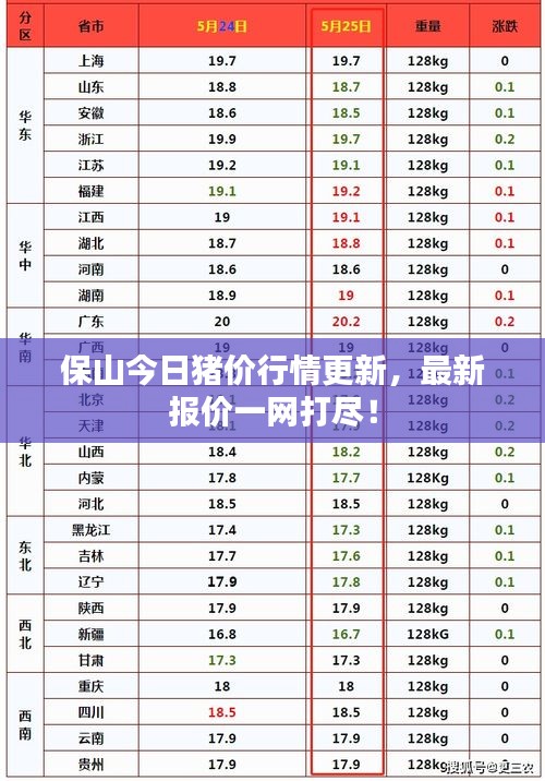 保山今日猪价行情更新,最新报价一网打尽!