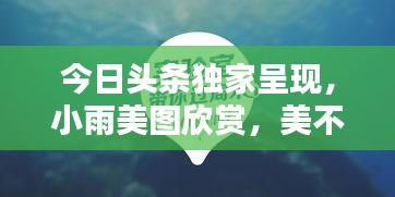 今日头条独家呈现,小雨美图欣赏,美不胜收!