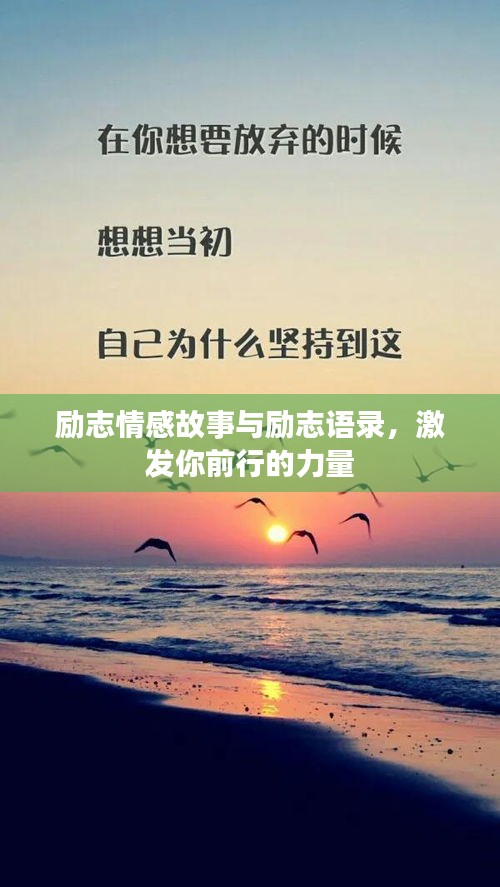 励志情感故事与励志语录,激发你前行的力量