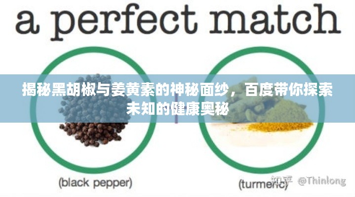 揭秘黑胡椒与姜黄素的神秘面纱,百度带你探索未知的健康奥秘