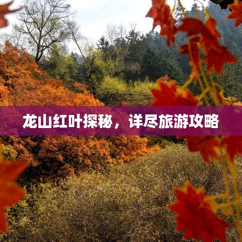 龙山红叶探秘,详尽旅游攻略