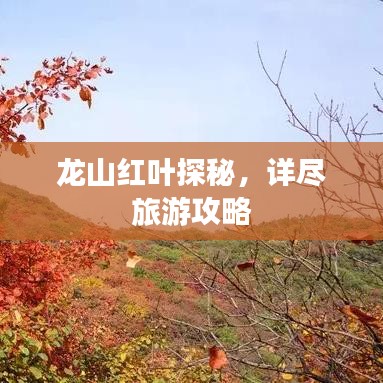 龙山红叶探秘,详尽旅游攻略