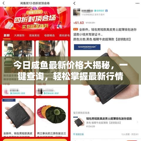 今日咸鱼最新价格大揭秘,一键查询,轻松掌握最新行情