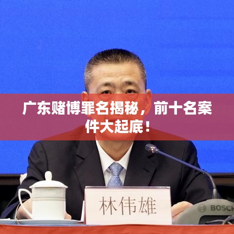 广东赌博罪名揭秘,前十名案件大起底!