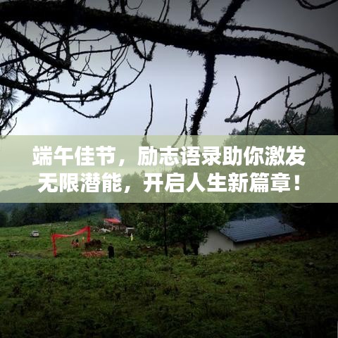 端午佳节，励志语录助你激发无限潜能，开启人生新篇章！