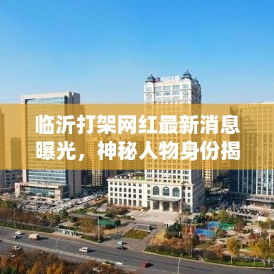 临沂打架网红最新消息曝光,神秘人物身份揭秘