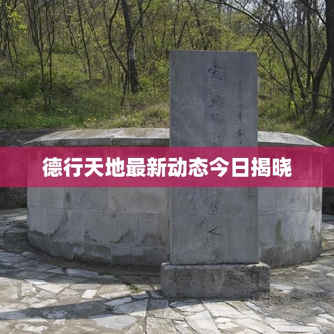凿壁偷光 第3页