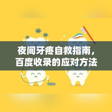夜间牙疼自救指南,百度收录的应对方法全解析