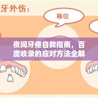 夜间牙疼自救指南,百度收录的应对方法全解析
