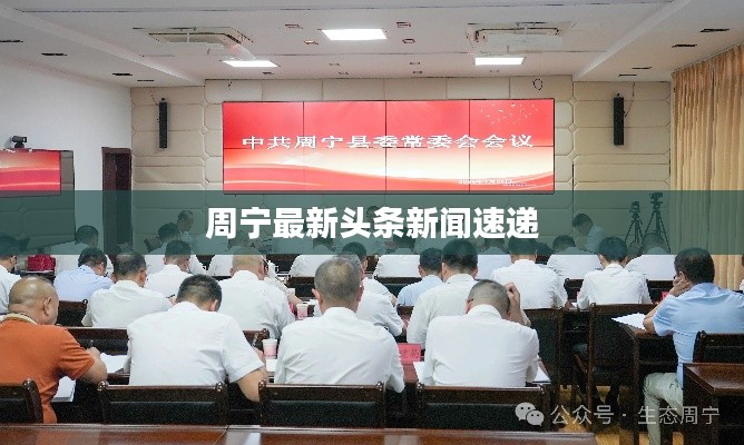 周宁最新头条新闻速递