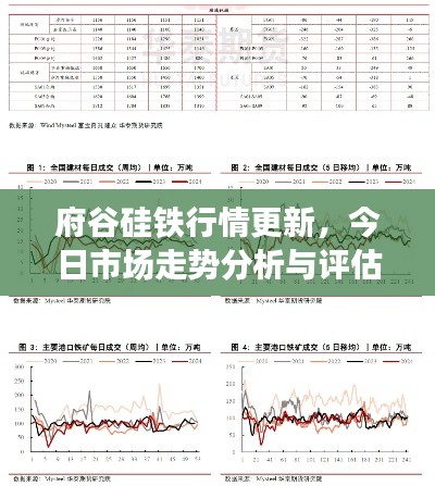 府谷硅铁行情更新,今日市场走势分析与评估