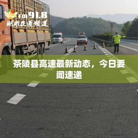 按部就班 第3页