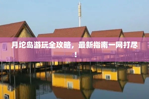 月坨岛游玩全攻略,最新指南一网打尽!