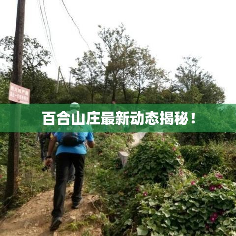 美轮美奂 第3页