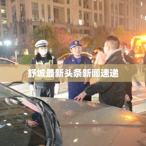舒城最新头条新闻速递