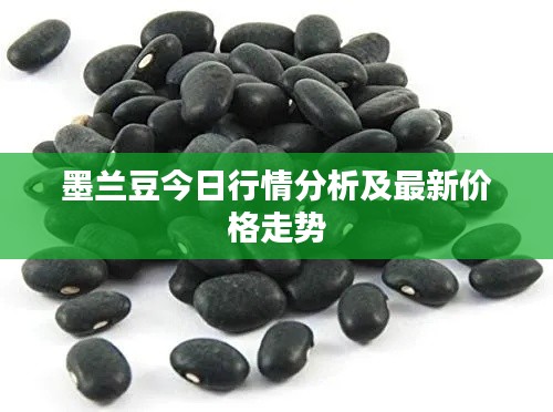 墨兰豆今日行情分析及最新价格走势