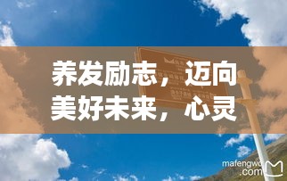 养发励志,迈向美好未来,心灵出发的旅程视频