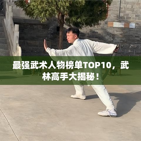最强武术人物榜单TOP10,武林高手大揭秘!