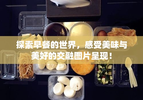 探索早餐的世界,感受美味与美好的交融图片呈现!