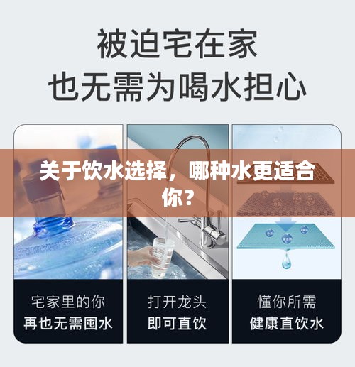 关于饮水选择,哪种水更适合你?