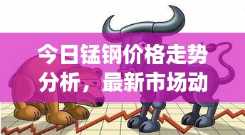 今日锰钢价格走势分析,最新市场动态一网打尽!