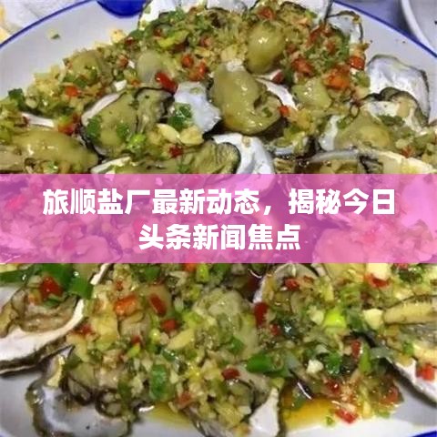 旅顺盐厂最新动态,揭秘今日头条新闻焦点