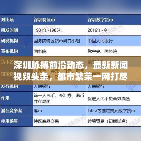 深圳脉搏前沿动态,最新新闻视频头条,都市繁荣一网打尽