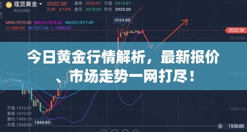 今日黄金行情解析,最新报价、市场走势一网打尽!