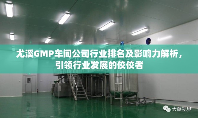 尤溪GMP车间公司行业排名及影响力解析,引领行业发展的佼佼者