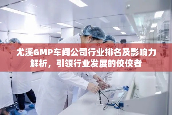 尤溪GMP车间公司行业排名及影响力解析,引领行业发展的佼佼者