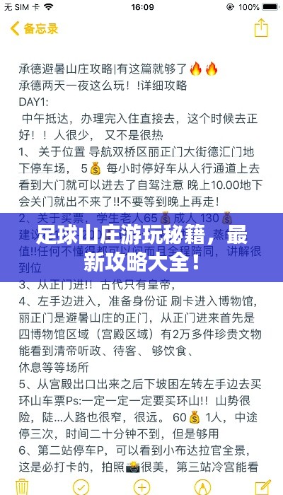 足球山庄游玩秘籍,最新攻略大全!