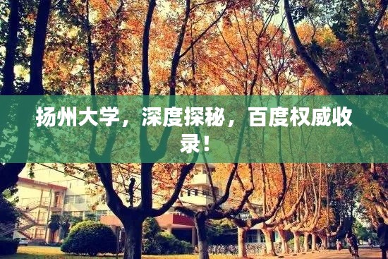 扬州大学,深度探秘,百度权威收录!