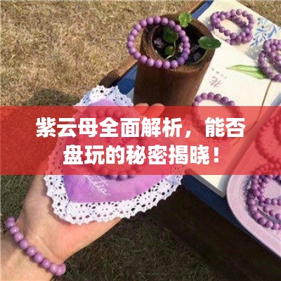 紫云母全面解析,能否盘玩的秘密揭晓!