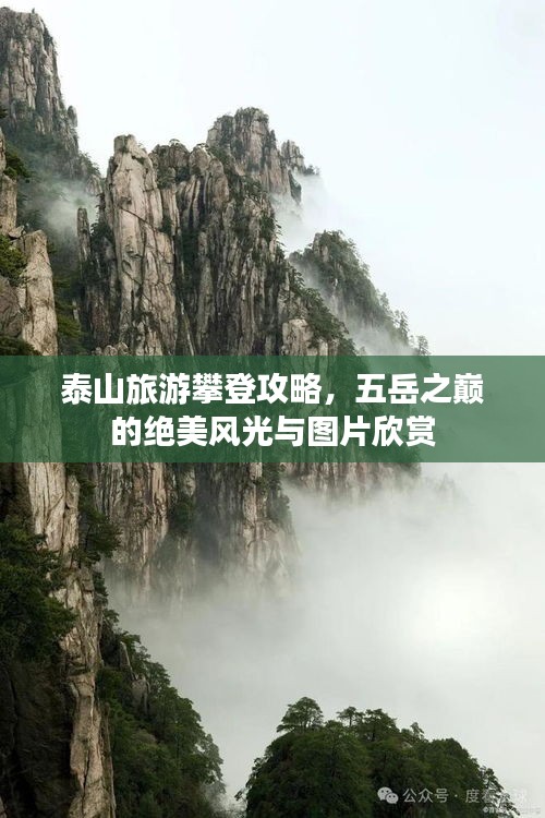 东成西就 第3页