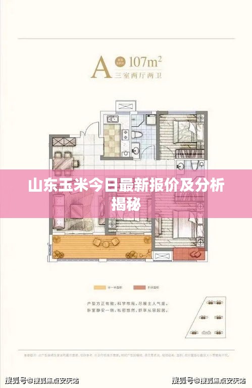 山东玉米今日最新报价及分析揭秘