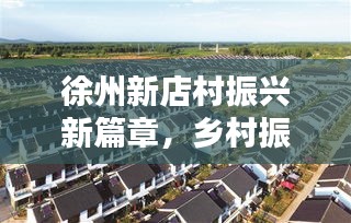 徐州新店村振兴新篇章，乡村振兴新闻头条