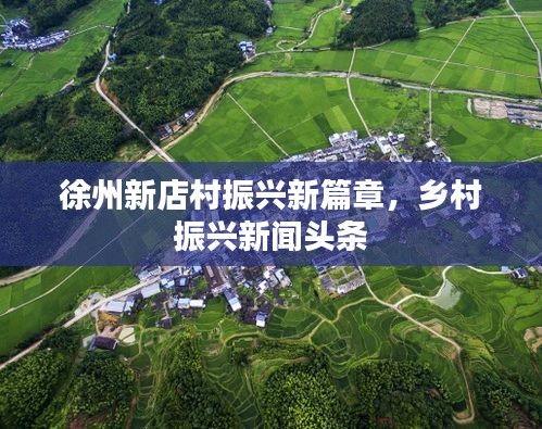 徐州新店村振兴新篇章,乡村振兴新闻头条