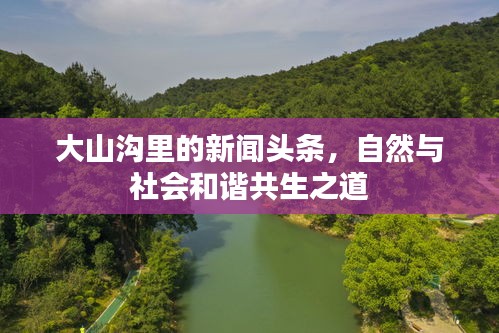 大山沟里的新闻头条,自然与社会和谐共生之道
