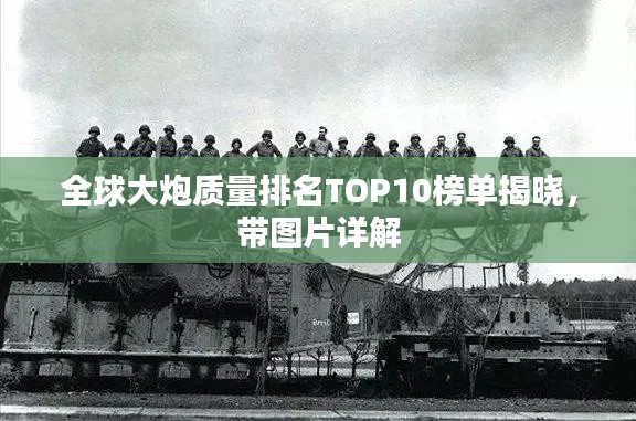 全球大炮质量排名TOP10榜单揭晓,带图片详解