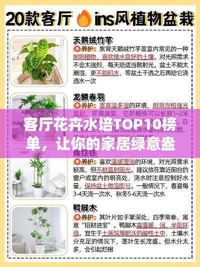 尽心尽力 第4页