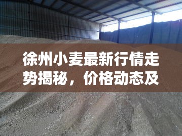 徐州小麦最新行情走势揭秘，价格动态及分析