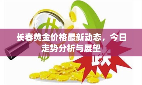 长春黄金价格最新动态,今日走势分析与展望