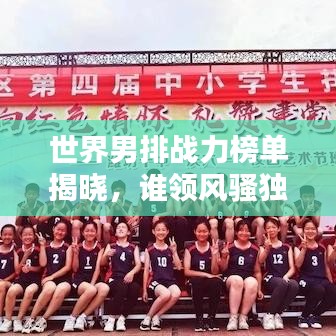 望其项背 第4页