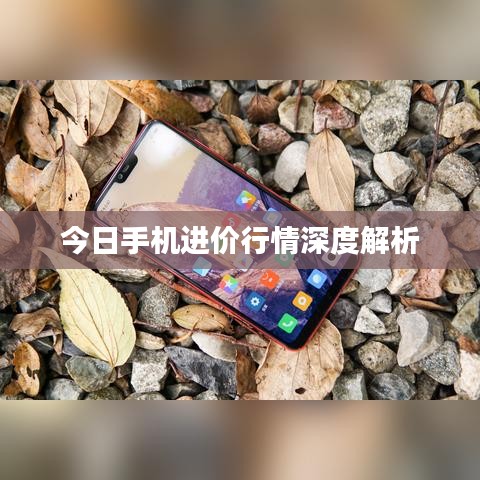 今日手机进价行情深度解析