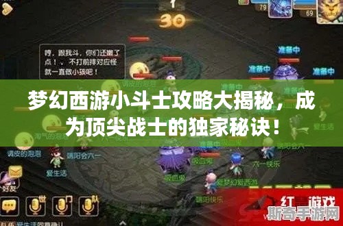 梦幻西游小斗士攻略大揭秘，成为顶尖战士的独家秘诀！